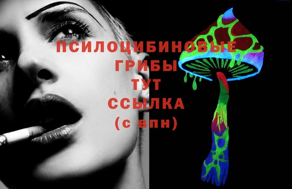 PSILOCYBIN Богородицк